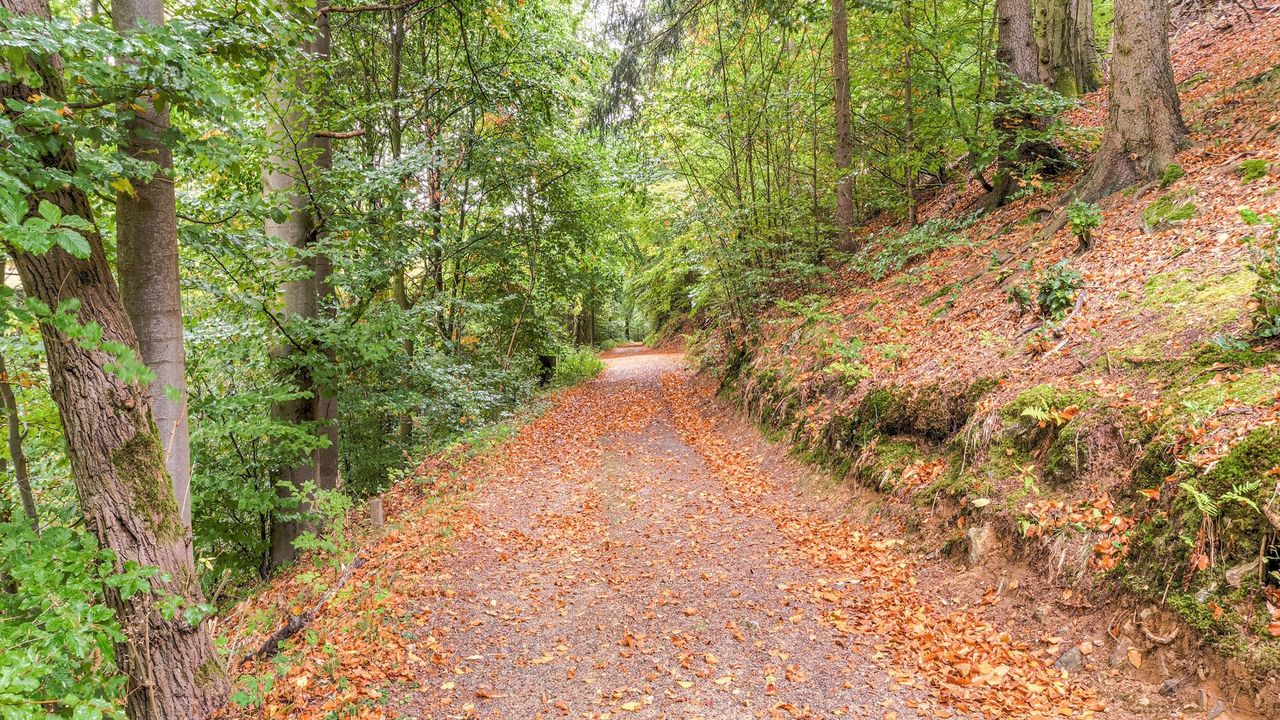 AreaSummer1KM AreaSummer1KM